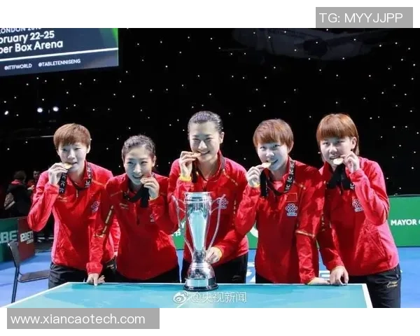 深圳羽毛球队在钻石联赛中的团队协作表现分析与启示